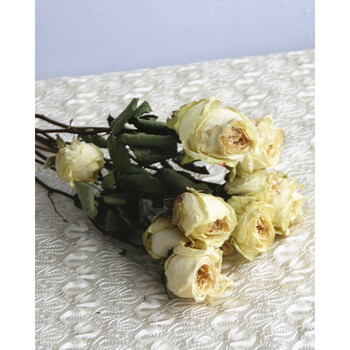 干花玫瑰花束风干真花北欧风装饰摆设ins家居文艺小清新花束 雪山10支