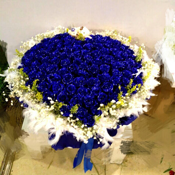 红玫瑰鲜花同城速递花店送花山东潍坊市奎文区临朐县昌乐县 99朵蓝色