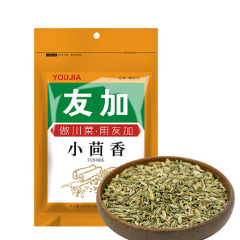 友加食品 香辛料调料小茴香20g 袋装 厨房调料烧炖卤香料家用火锅馅料佐料