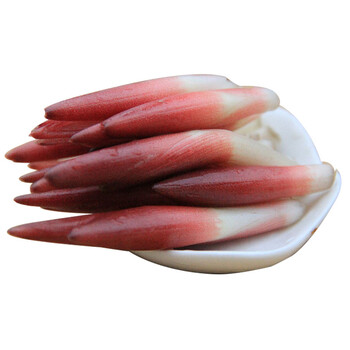 洋荷姜 新鲜阳荷阳霍莲花姜 生鲜蔬菜 1000g