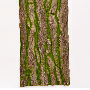 管道装饰树皮包下水管道树皮仿真假树皮室内遮挡包柱子绿植物 一片1米