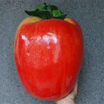 羽帛 大水果 仿真超大号苹果 假苹果模型道具表演舞蹈道具用品装饰