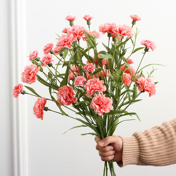 仿真花套装康乃馨花艺花卉花束绢花假花装饰花客厅花瓶摆件摆设 肉