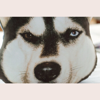 个性3d神烦狗抱枕腰靠 创意滑稽靠垫哈士奇玩具枕垫 汪星人多功能暖手