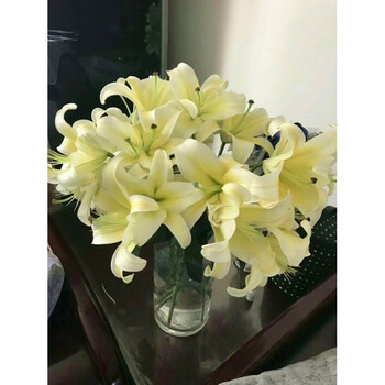 鲜花 昆明斗南基地直销 香水百合 黄天霸 单头两头三 黄天霸(多头10支