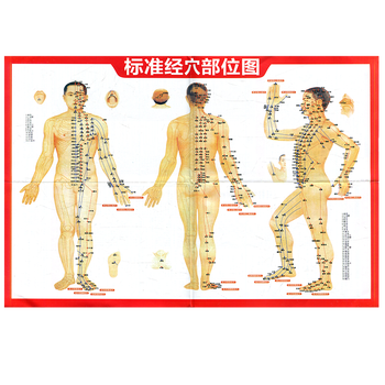 人体标准经络穴位图 赠品勿拍 摘要书评试读 京东图书