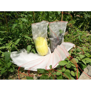 尼龙网袋 防虫袋100目丝瓜苦瓜浦瓜黄瓜防果蝇套袋 48x60(cm)