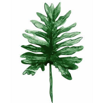 diy数字油画芭蕉龟背叶连香叶礼物手绘涂色卧室客户装饰画挂画 春羽叶