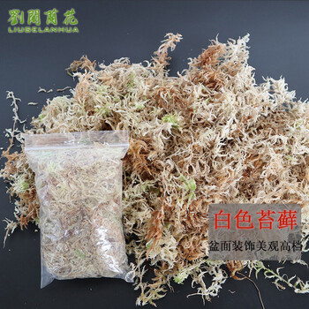 养兰需备兰花专用苔藓 美观绿化水苔 花卉盆栽需备绿水草出售 白色苔藓