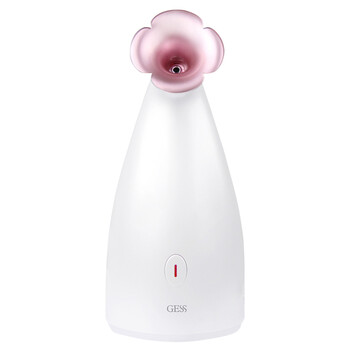 德国GESS 家用美容仪 热喷雾补水美容器 GESS699