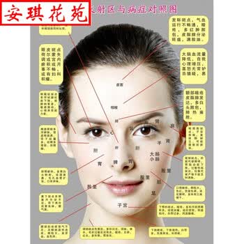 一立 美容院挂图面部刮痧护理拨筋反射区挂画海报展板脸部穴位图 pp胶