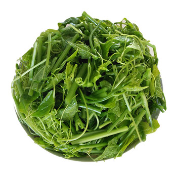 京东好物节拼购5折 云南新鲜洋瓜尖 龙须菜 鲜脆香嫩餐馆特产 农家菜2