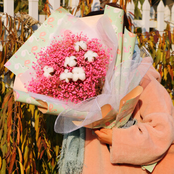 火烈鸟粉色满天星(带led闪灯) 干花包