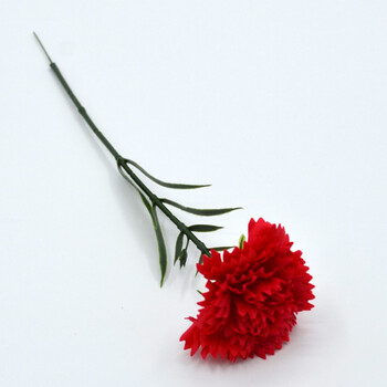 单支康乃馨:大红【图片 价格 品牌 报价】-京东