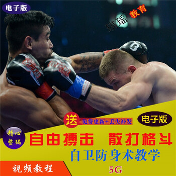 自由搏击散打技法擒拿格斗自卫防身术教学视频