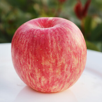 河南特产灵宝红富士苹果80#2斤箱装新鲜水果脆甜胜烟台栖霞洛川苹果原