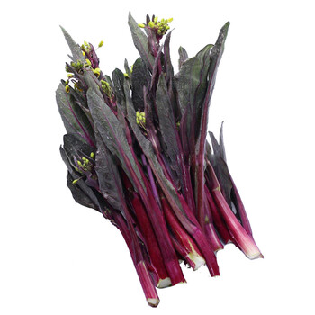 农家新鲜红菜苔紫色菜苔洪山菜薹新鲜时令蔬菜4斤