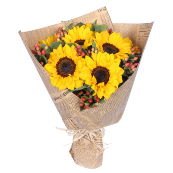三月情鲜花向日葵花束祝福礼物生日鲜花送父母鲜花领导同事花束同城鲜花店北京上海全国送花暖阳 6朵向日葵 图片价格品牌报价 京东