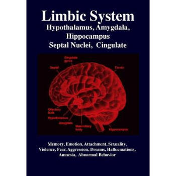 Limbic System: Amygdala, Hypothalamus, Sep...