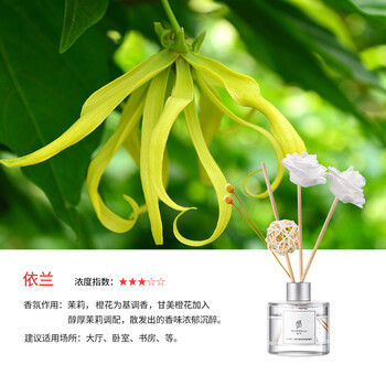 间卧室持久留香室内熏香厕所除臭除味家用香薰香水 依兰(幽香宜人)