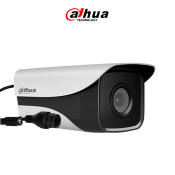 大华（dahua ）200万H.265红外双灯夜视防水高清网络摄像机POE供电手机远程监控 DH-IPC-HFW1230M-I2-V2  8MM