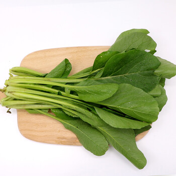 溯朴农庄 青帮油菜 500g