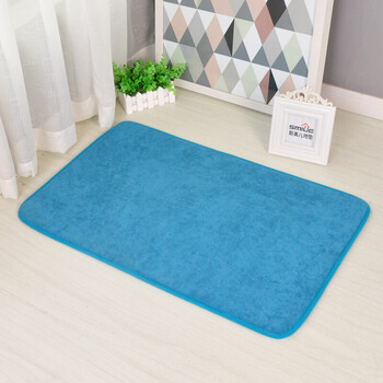 浴室地垫卫生间卫浴垫入户进门家用脚垫卧室厨房门口地毯 湖蓝色 80x