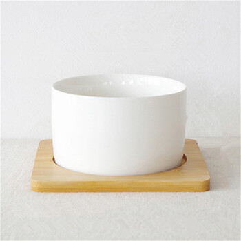 多肉植物花器花盆白瓷圆柱简约花器 矮款圆柱 防虫网 小