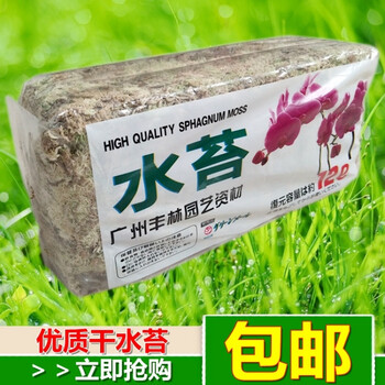 干水苔兰花栽培介质蝴蝶兰营养土花卉植物嫁接移栽保湿泥炭藓nz 干水苔1克 图片价格品牌报价 京东 干水苔兰花栽培介质蝴蝶兰营养土花卉植物嫁接移栽保湿泥炭藓nz 干水苔1克 图片价格品牌报价 京东