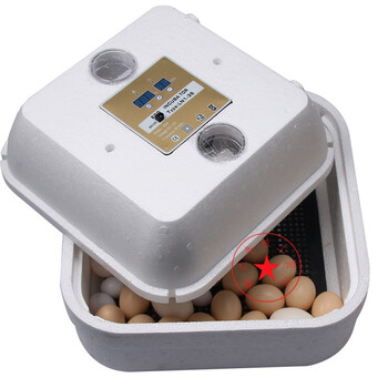 鸽子孵化机/微型土鸡苗全自动孵化器/野鸡孵蛋机/鹦鹉孵蛋器 42枚全