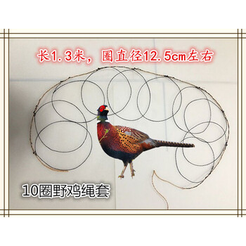 绑脚套脚竹鸡脚套地绊脚绳套野山鸡野鸡拌门套捉抓全套排鸽子绳圈 10