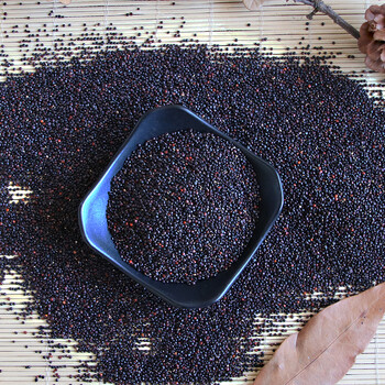 晋宜良馆 黑藜麦 优质黎麦500g儿童辅食代餐粗粮 沙拉伴侣 藜麦