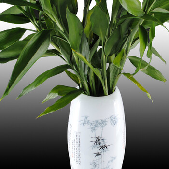 
                                                                                景秀缘 景德镇青花陶瓷现代家居时尚简约客厅工艺品花瓶摆件 梅兰竹菊 淡蓝色三件套（带全套底座）                