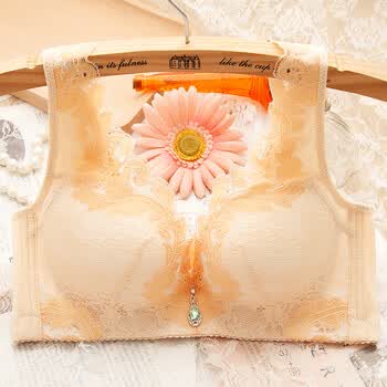 薄款内衣女无钢圈六排扣文胸聚拢小胸性感调整型收副乳上托加厚罩