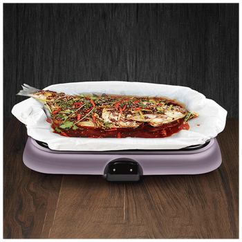 烤肉盘电烤盘不粘烤盘纸上烤鱼长方形商用纸包鱼专用锅烤鱼炉t 黑色带