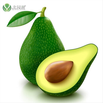 牛油果树苗牛油果苗果树苗 酪梨苗 鳄梨苗 鳄梨树苗墨西哥牛油果苗樟梨苗鳄梨苗牛油果树苗品种路拉6年苗结果多 图片价格品牌