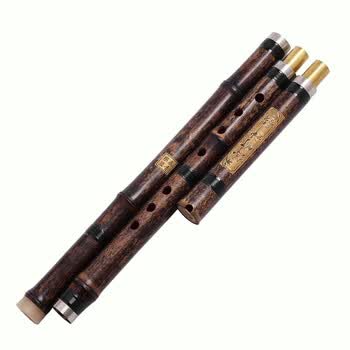 秦青 乐器 精制三节箫 紫竹洞箫 六孔 八孔 初学演奏 6孔G调【图片 价格 品牌 报价】-京东