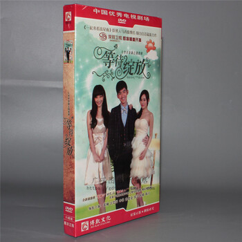 电视剧碟片正版光盘 一起来看流星雨3 等待绽