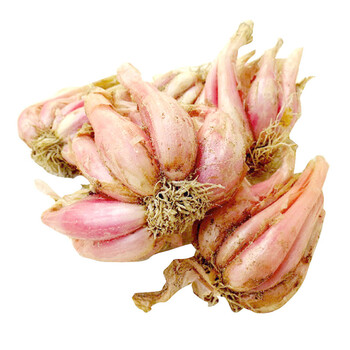 老一生鲜新鲜特香红葱头石狮红葱头小洋葱500g