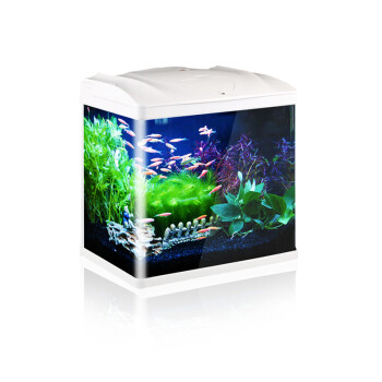 森森(SUNSUN)创意小型鱼缸水族箱迷你桌面鱼