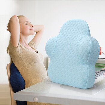 back2脊态 记忆棉腰靠办公室腰椎靠垫枕 记忆棉花型靠枕 腰垫 护腰
