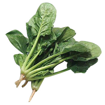 火锅 自然之星 约250g 有机菠菜 波斯菜 赤根菜 鹦鹉菜 火锅食材 新鲜