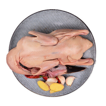 明康汇 鸭子绿头野鸭尼松鸭雁鸭 约0.8kg 整只装 新鲜宰杀