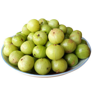 潮汕油柑子果油甘果青橄榄果新鲜水果余甘果余甘子孕妇酸水果500g 图片价格品牌报价 京东