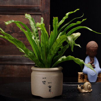 花目蓝 Humulan 花盆粗陶有孔创意手写中式陶瓷多肉植物盆栽花盆紫砂绿植盆栽花器素烧花瓶一花一世界 宽11 高度10 8厘米 图片
