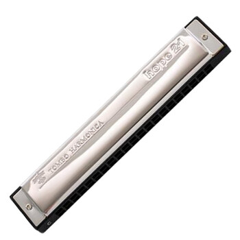 口琴24孔复音初学者成演奏乐器学生自学口琴 am小调