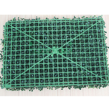 
                                        强迪双层加密米兰草坪加大加宽仿真人造装饰草皮2片装 绿色 40*60CM                