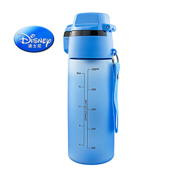 
                                                                                迪士尼（Disney） 迪士尼水杯夏塑料杯便携创意儿童运动直饮杯学生水壶卡通随手杯子 500ML蓝色5829                