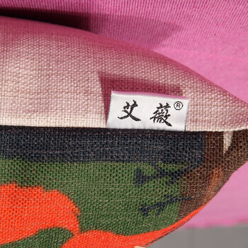 艾薇  家纺床品 厚磅棉麻 原创个性 家居风格抱枕 沙发靠枕含芯  冰河世纪46*46CM