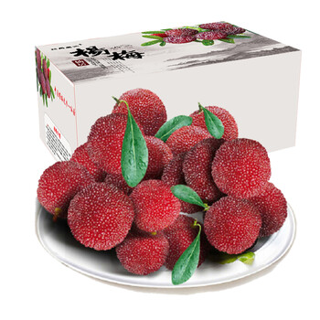 臻乐庄园 仙居东魁杨梅 水果礼盒装 3kg